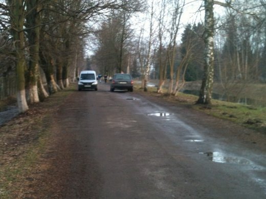 Як дбають про чисте повітря у парку Лесі Українки